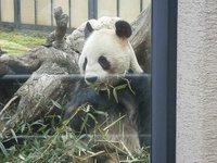 21年 上野動物園 行く前に 見どころをチェック トリップアドバイザー