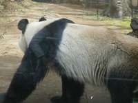 21年 上野動物園 行く前に 見どころをチェック トリップアドバイザー