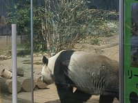 21年 上野動物園 行く前に 見どころをチェック トリップアドバイザー