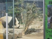 21年 上野動物園 行く前に 見どころをチェック トリップアドバイザー