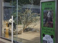 21年 上野動物園 行く前に 見どころをチェック トリップアドバイザー