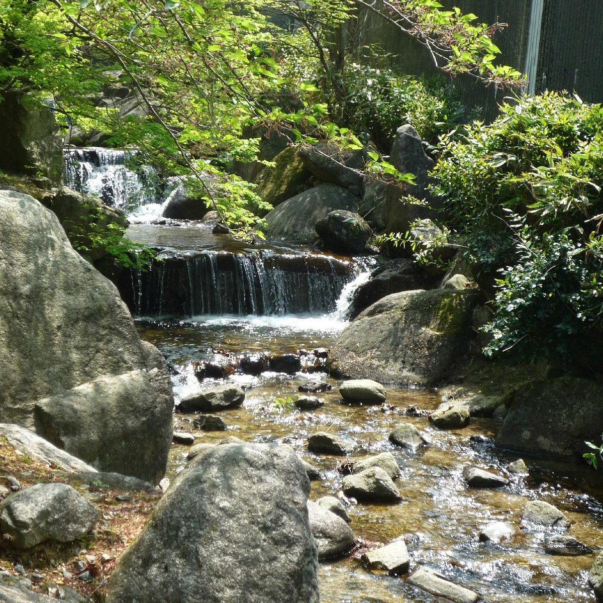 23年 一本松公園 行く前に 見どころをチェック トリップアドバイザー