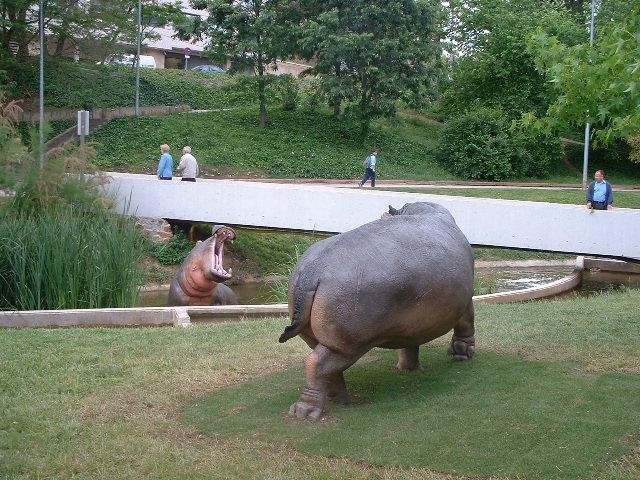 Imagen 9 de Parc de Vallparadis