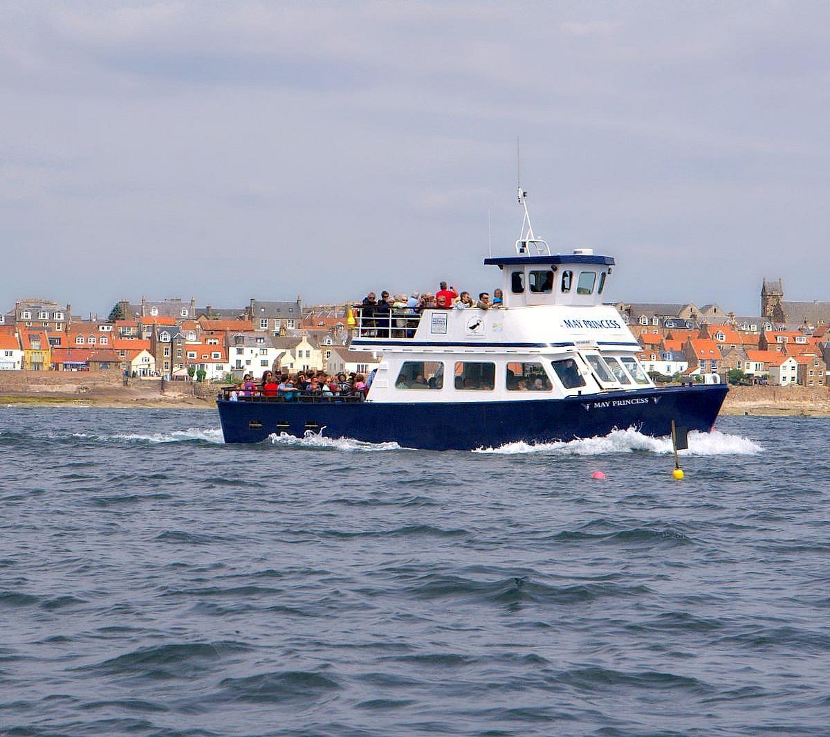 anstruther pleasure cruises reviews