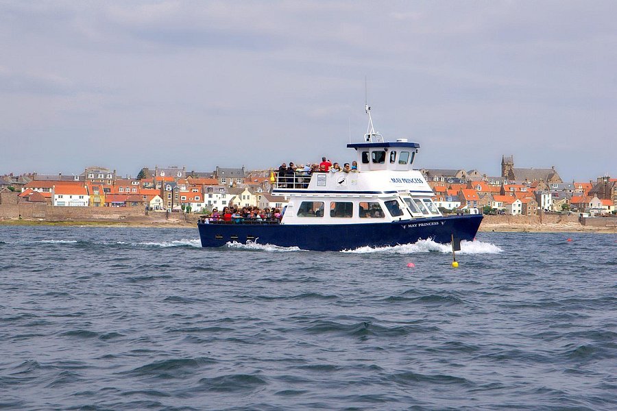 anstruther pleasure cruises reviews