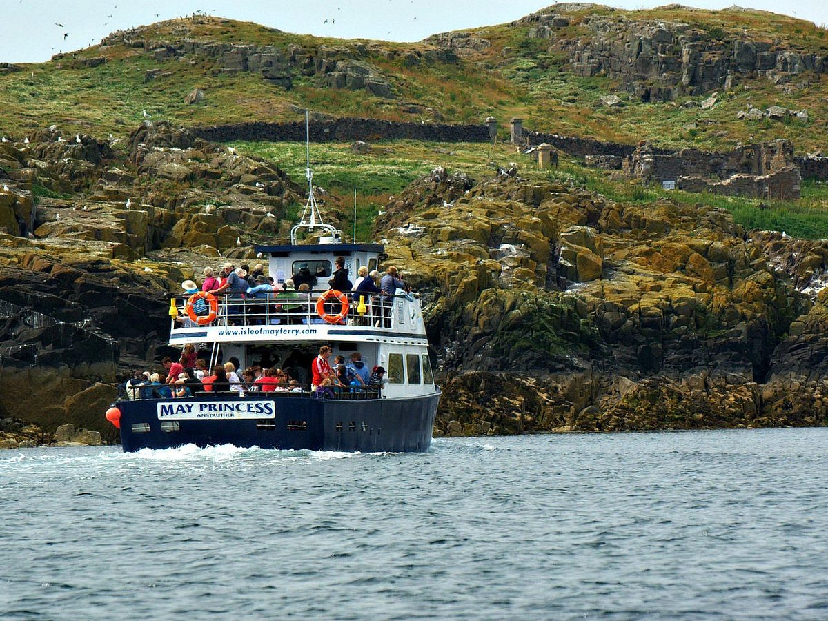 anstruther pleasure cruises boat day tours