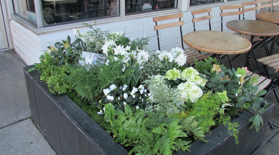 Little Flower Cafe and Bakery, 패서디나 - 레스토랑 리뷰 - 트립어드바이저