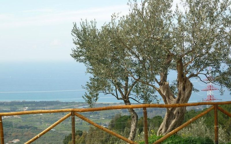Casa degli Ulivi
