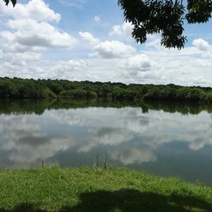 LAKE GIBSON PARK BOAT RAMP (2025) - All You MUST Know Before You Go