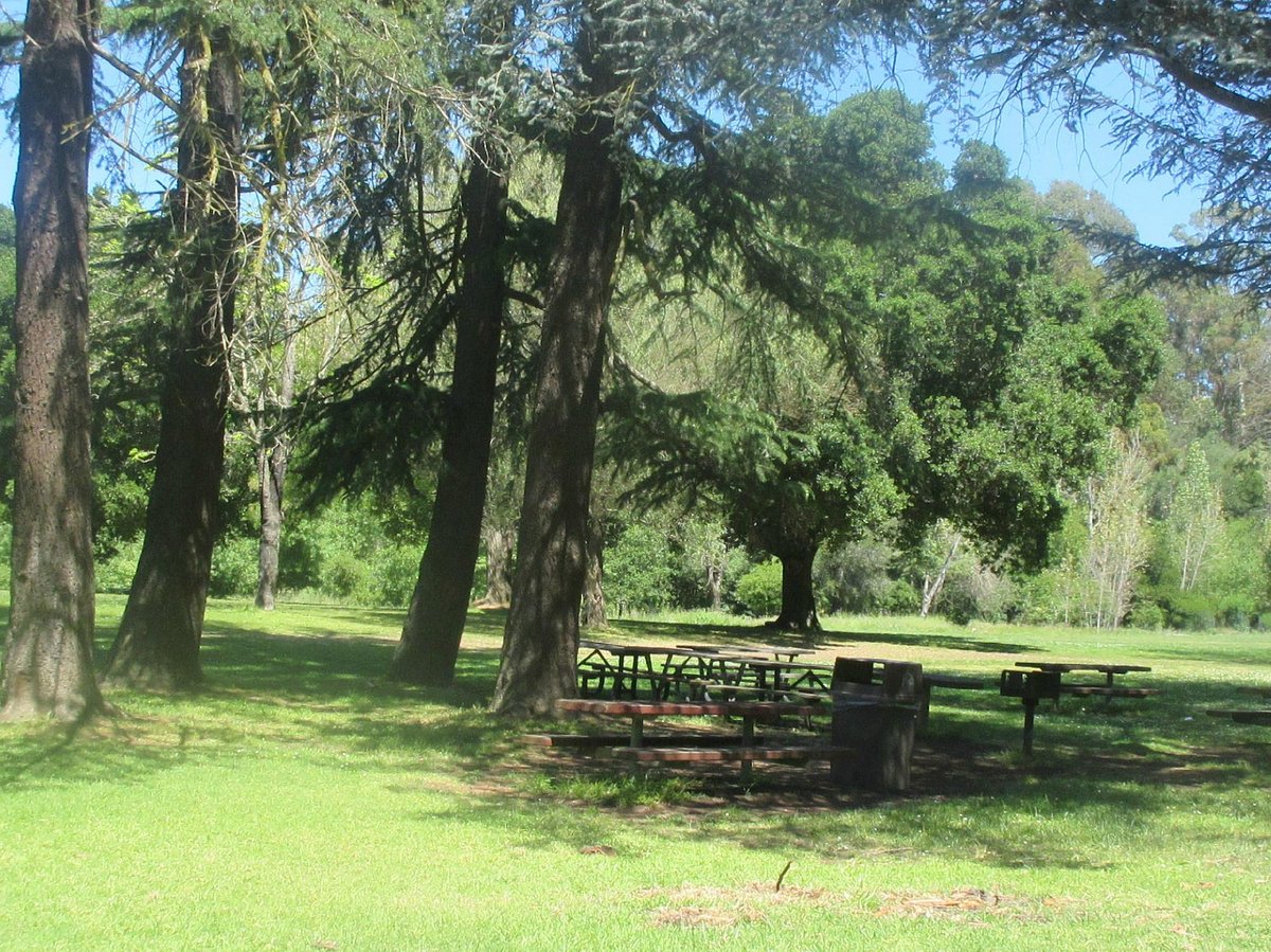Roberts Regional Recreation Area (Oakland) - Lohnt es sich?