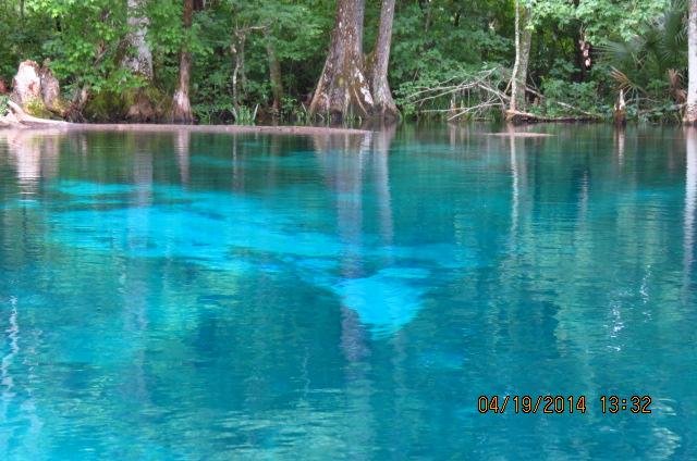 Silver Springs State Park - All You Need To Know BEFORE You Go