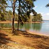 Things To Do in Lake Hartwell Tours, Restaurants in Lake Hartwell Tours