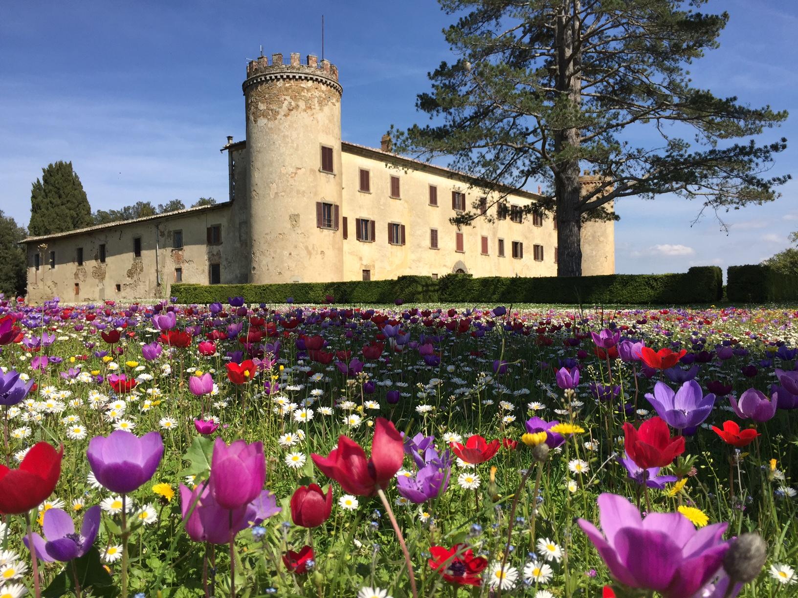 CASTELLO DEL CALCIONE Lucignano Province of Arezzo Hotel