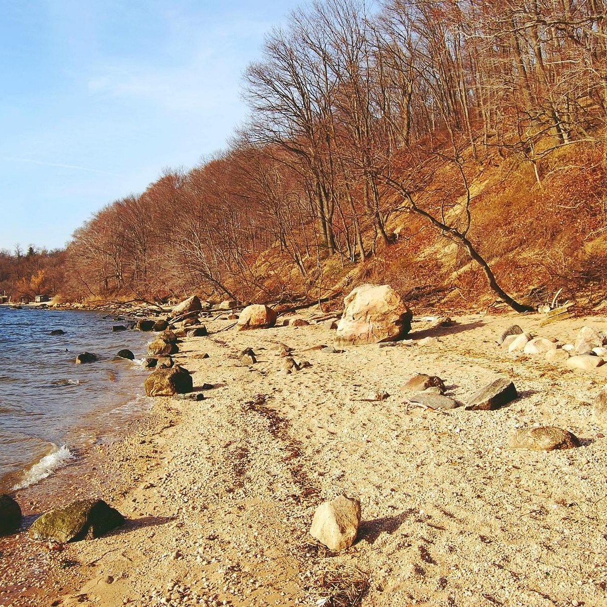 GARVIES POINT MUSEUM AND PRESERVE (Glen Cove) All You Need to Know