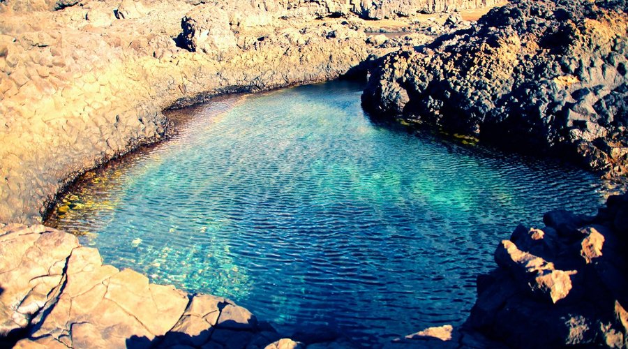 Natural pool