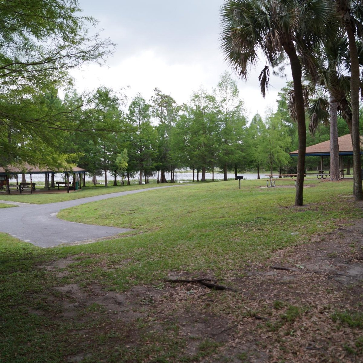 Bill Frederick Park and Pool at Turkey Lake - All You Need to Know ...