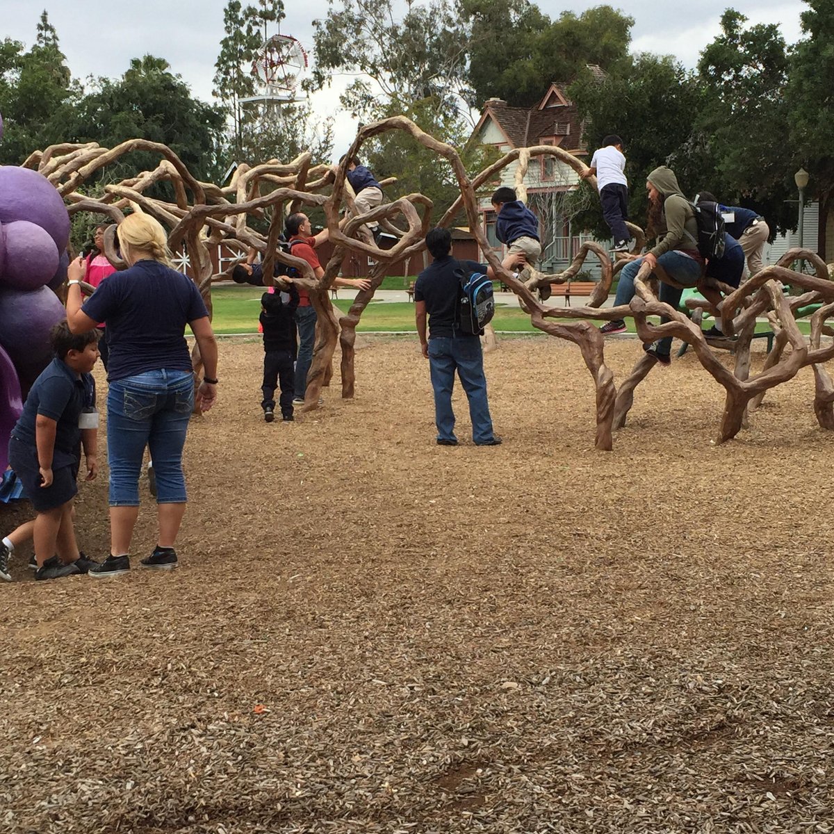 GRAPE DAY PARK (Escondido) What Should I Know BEFORE I Go?