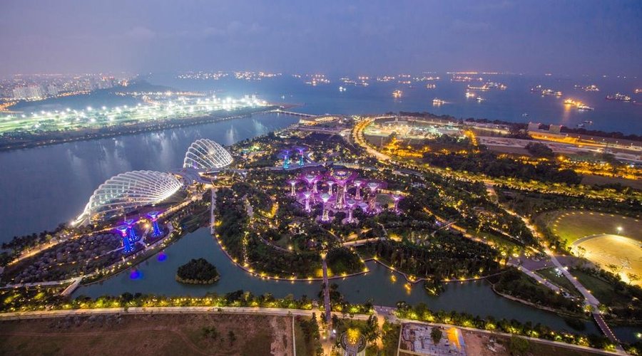 Aerial view of Gardens by the Bay at Night