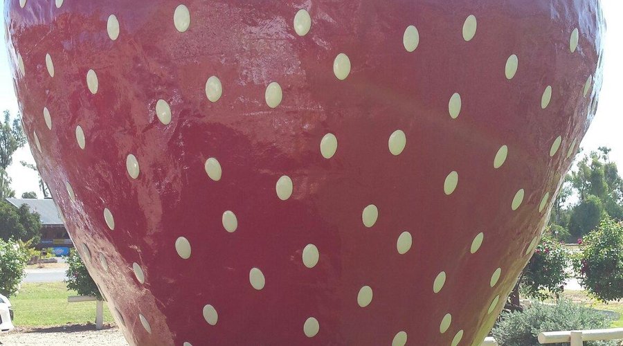 The Big Strawberry