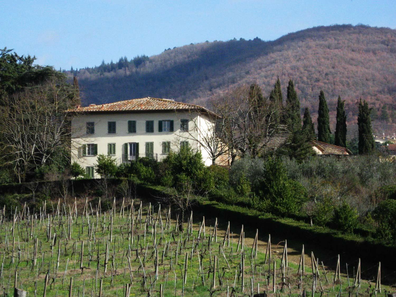 THE 5 BEST Arezzo Wineries Vineyards Updated 2024