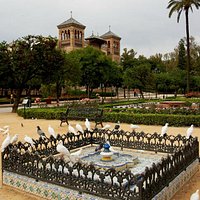 Plaza América y sus palomas