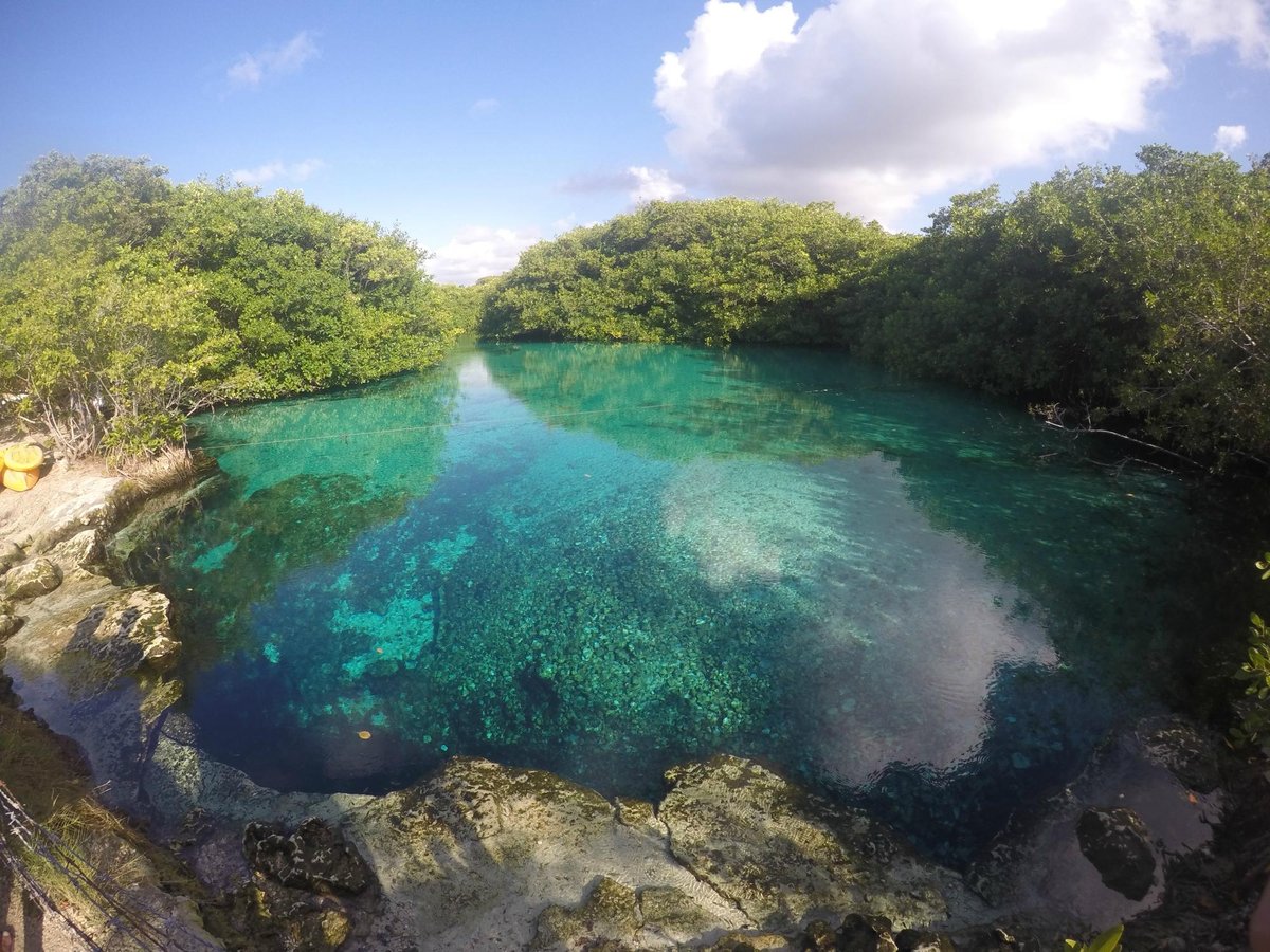 Casa Cenote (Tulum) - All You Need to Know BEFORE You Go