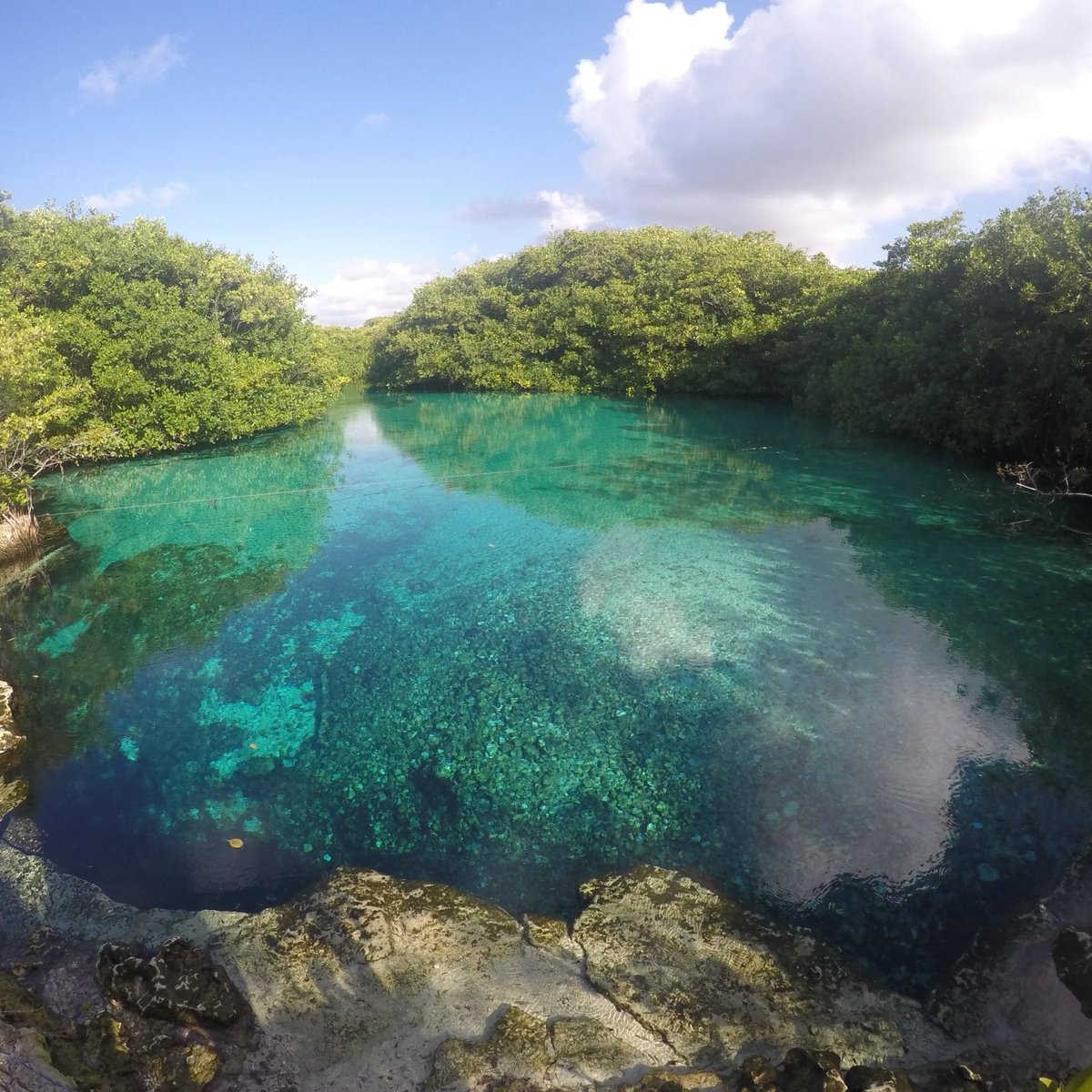 CASA CENOTE (Tulum): 2023 - tutto quello che c'è da sapere