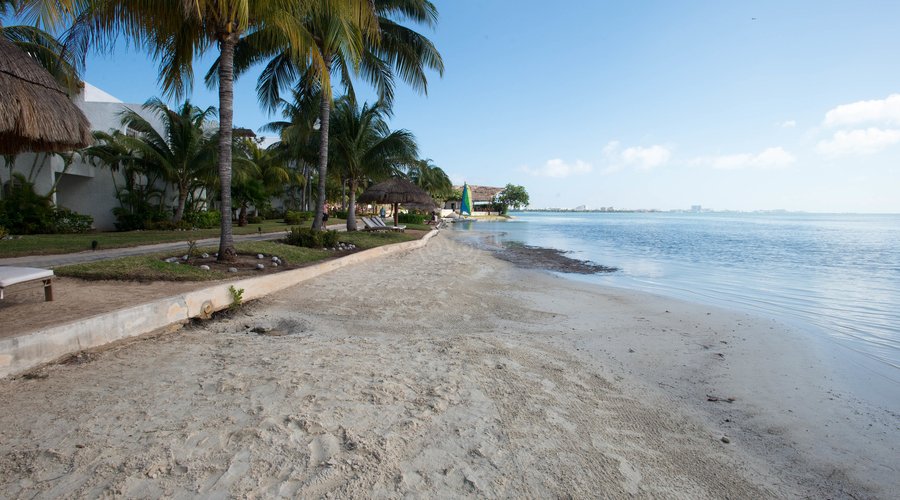 Beach at the Sunset Marina Resort & Yacht Club