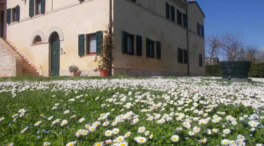 Primavera