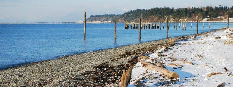 Snowy banks. Hear BC ferry horns in distance.