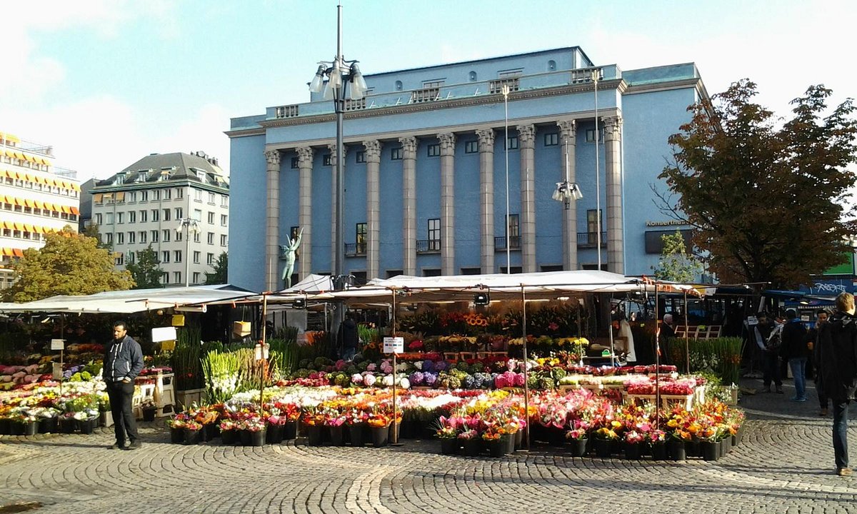 Объявления на Шведской Пальме