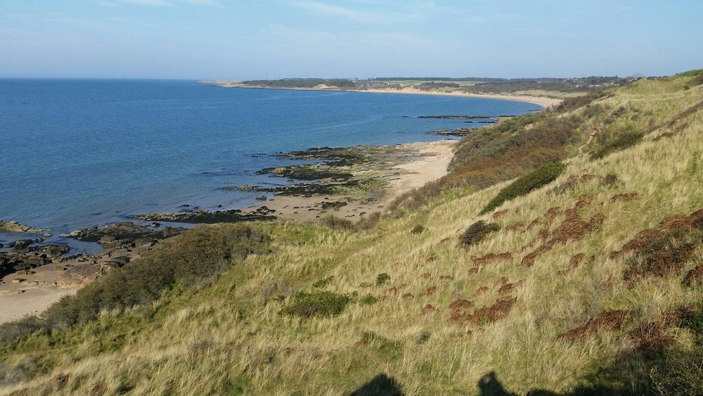 Gullane Tourism 2020: Best of Gullane, Scotland - Tripadvisor