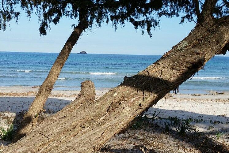 Plage de Pinarellu