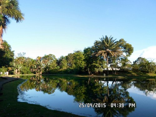 Turismo em Rondônia: 5 cidades imperdíveis - Viajei Bonito