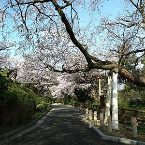 広島市の美術館 博物館 ベスト10 トリップアドバイザー