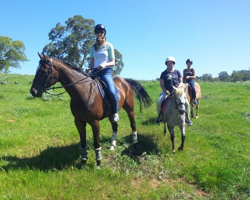 Braeside Equestrian Centre