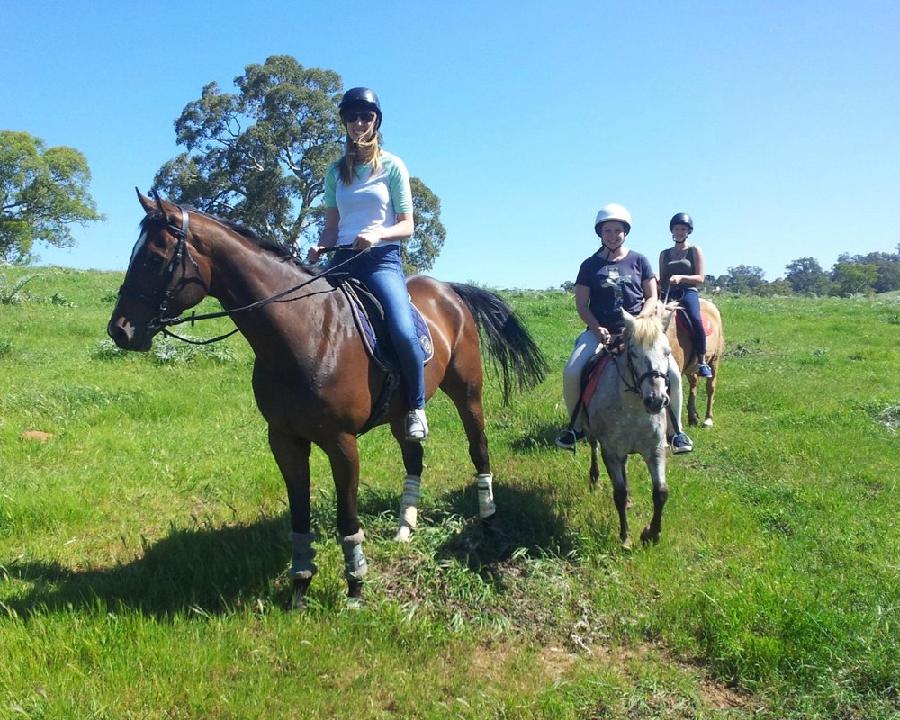 THE 10 BEST South Australia Horseback Riding Tours (Updated 2024)