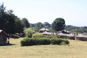 Phòng & Phòng Suite