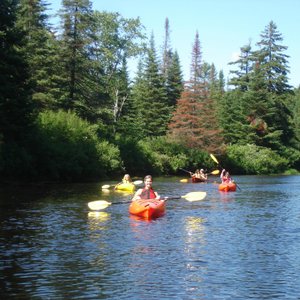 Tickner's Moose River Paddling Trails (Old Forge) - All You Need to ...