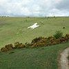 Things To Do in Pewsey White Horse, Restaurants in Pewsey White Horse