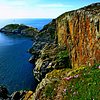 Things To Do in South Stack Cliffs RSPB Reserve, Restaurants in South Stack Cliffs RSPB Reserve