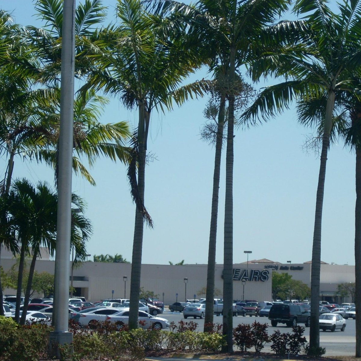 Olive Garden Southland Mall Miami Fasci Garden