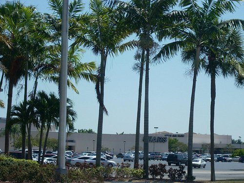 Cutler Bay Parking