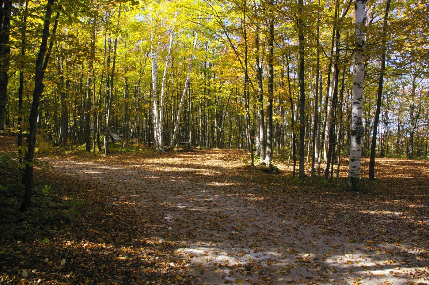 BAILEYS WOODS CAMPGROUND - Reviews (Baileys Harbor, Door County, WI)