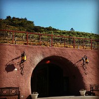 Petroni Vineyards