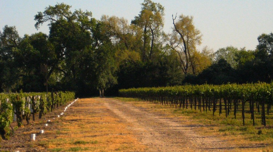Heritage Oak Winery - Acampo - Heritage Oak Winery의 리뷰 - 트립어드바이저