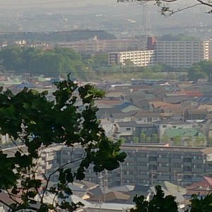 21年 川崎市で絶対外さないおすすめ観光スポットトップ10 定番から穴場まで トリップアドバイザー 21年 川崎市で絶対外さないおすすめ観光スポットトップ10 定番から穴場まで トリップアドバイザー