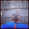 Krikri_on_the_road