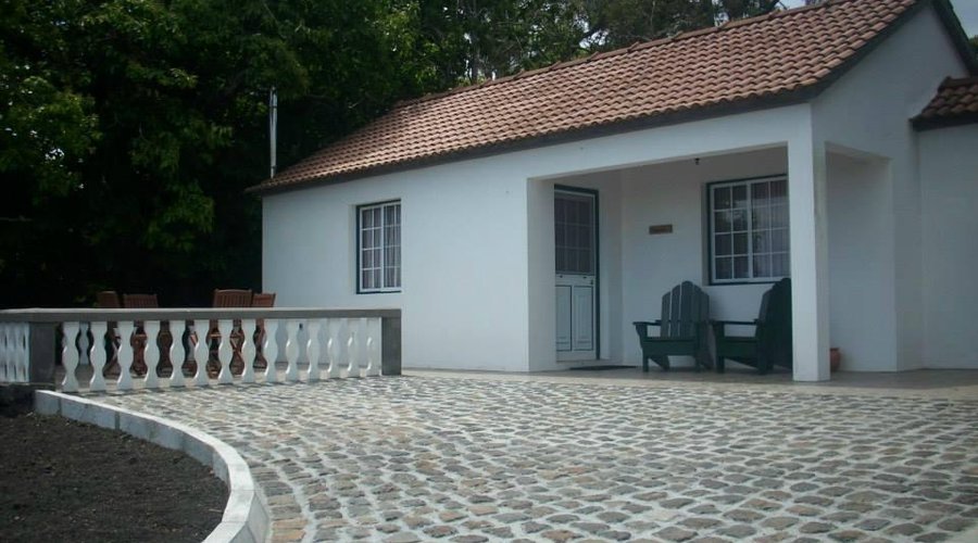 Magnólia