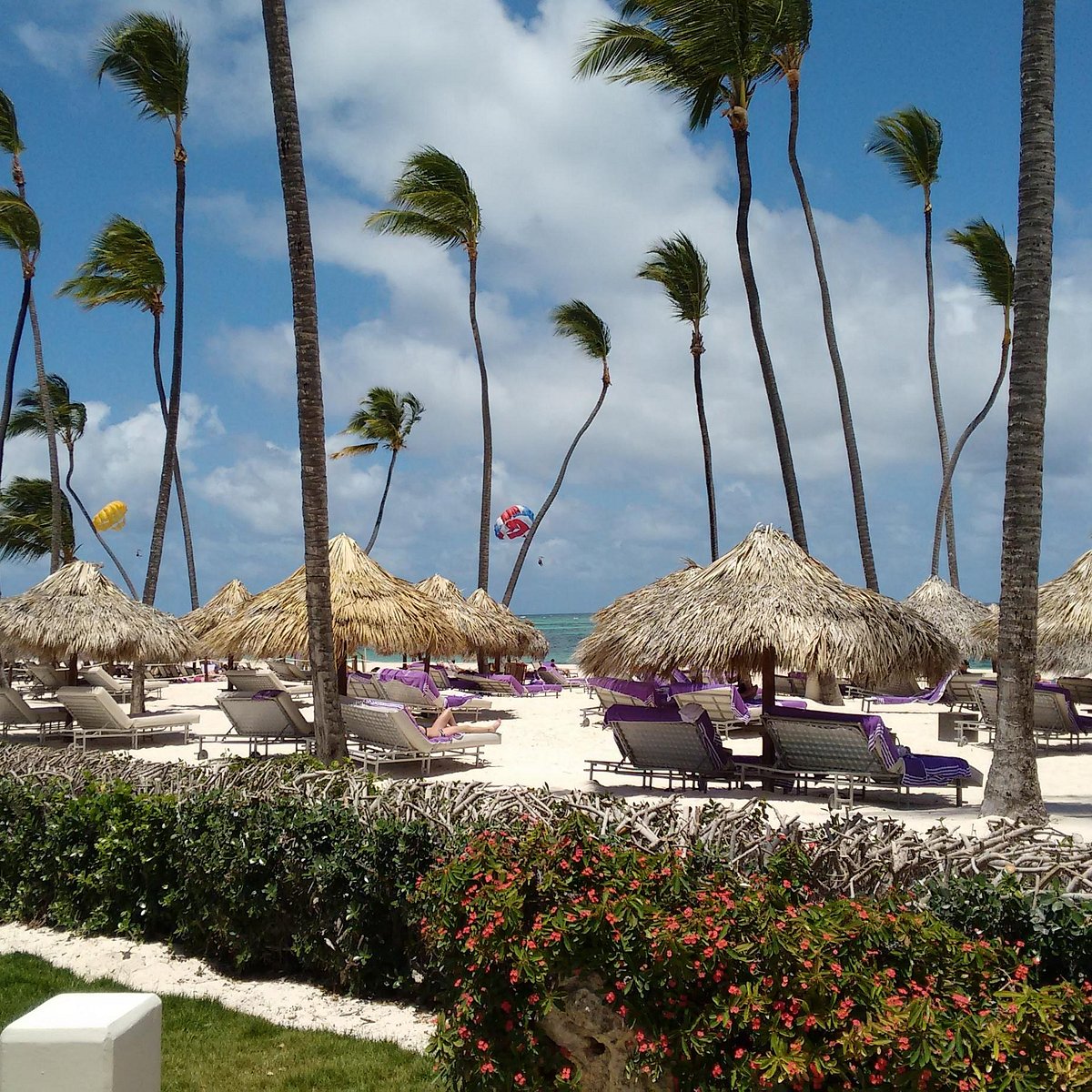 reviews on travel to punta cana